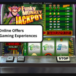 How Bingo Online Offers Interactive Gaming Experiences